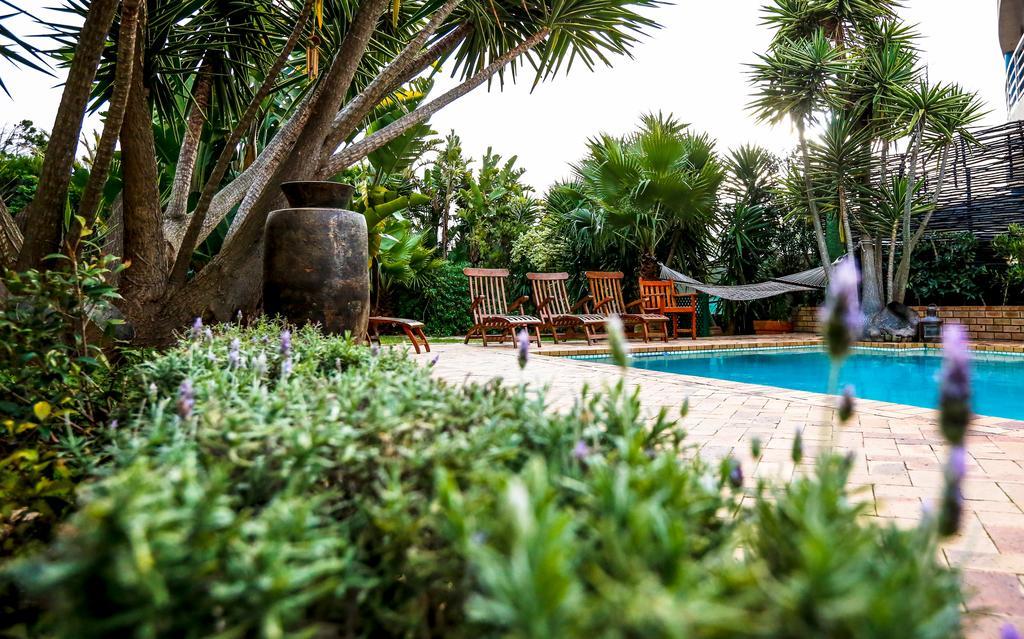 Secret Garden Guesthouse Bloubergstrand Ngoại thất bức ảnh