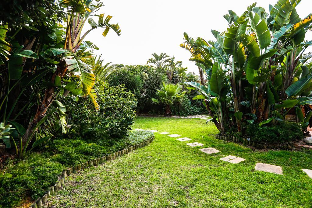 Secret Garden Guesthouse Bloubergstrand Ngoại thất bức ảnh