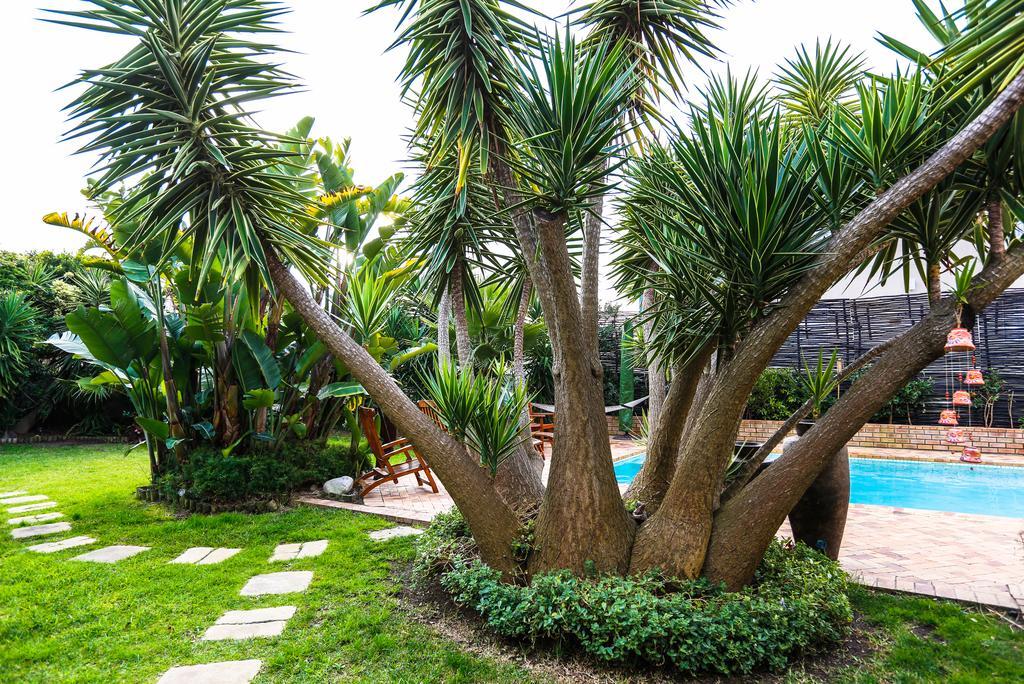 Secret Garden Guesthouse Bloubergstrand Ngoại thất bức ảnh