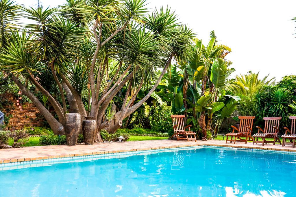 Secret Garden Guesthouse Bloubergstrand Ngoại thất bức ảnh