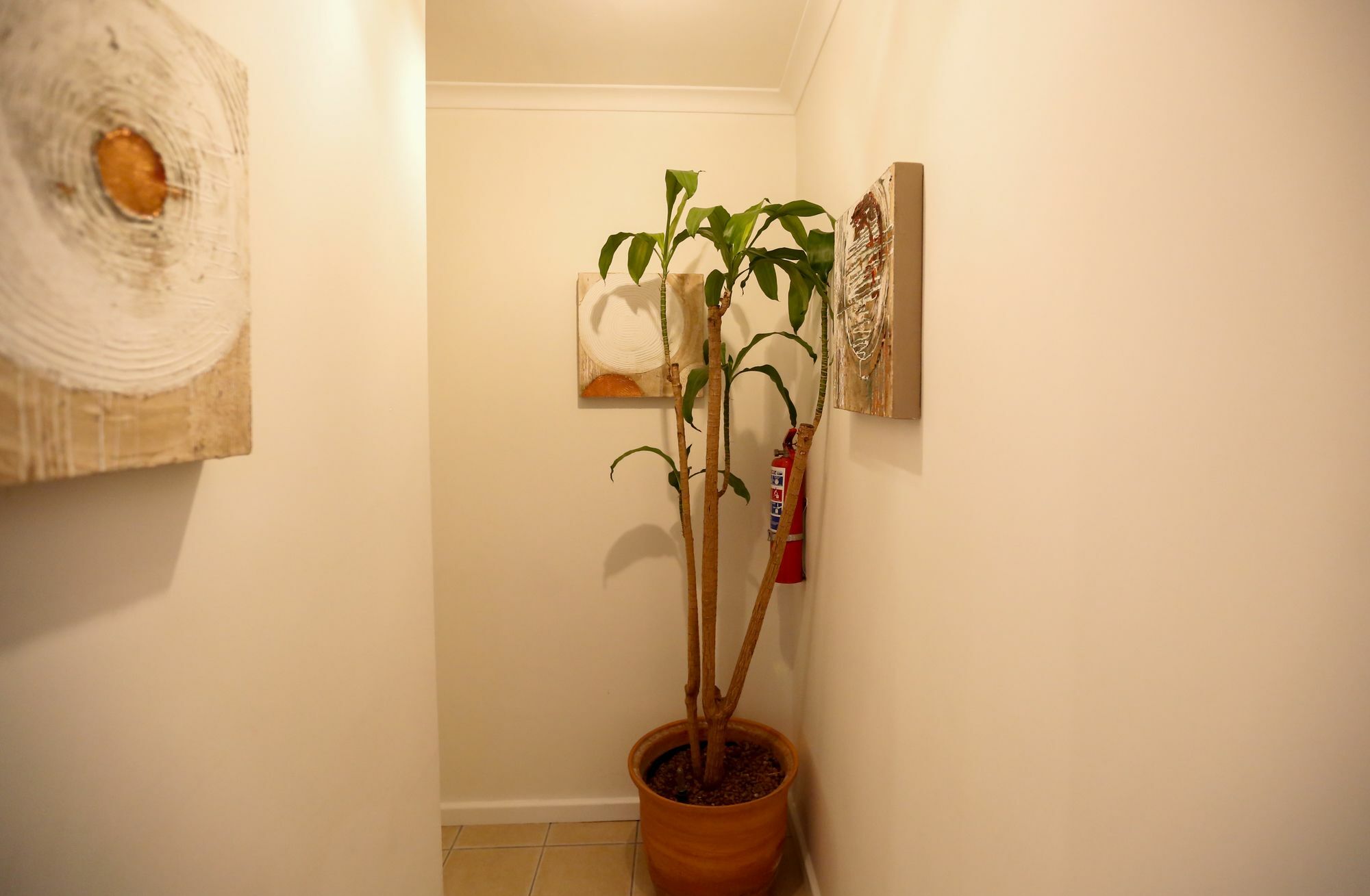 Secret Garden Guesthouse Bloubergstrand Ngoại thất bức ảnh
